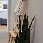 Vera Cruz Apartamento *
