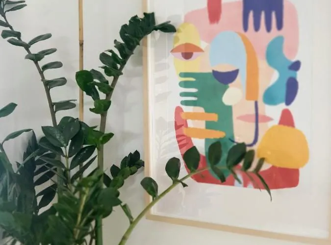 Apartament Vera Cruz *